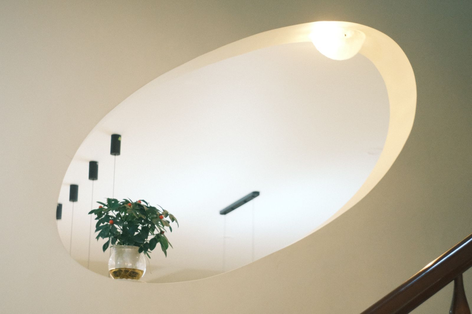 Un intérieur lumineux aux formes douces, agrémenté d’une plante.